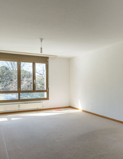 2b immo Spiez 008