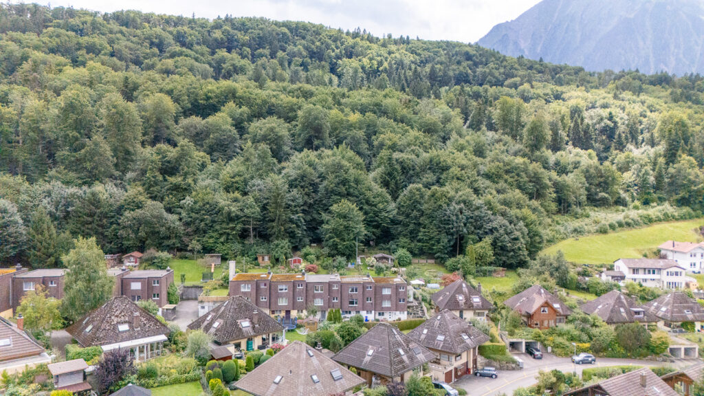 Spiez_Studweidstrasse 66_web-041