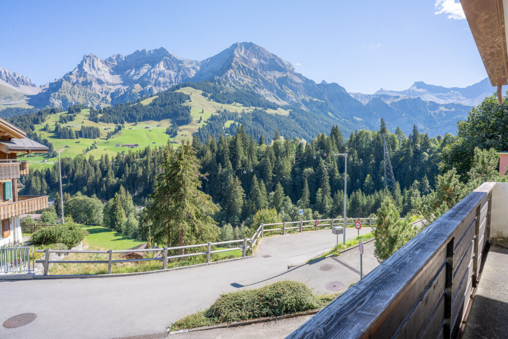 Hauswurz_web-025