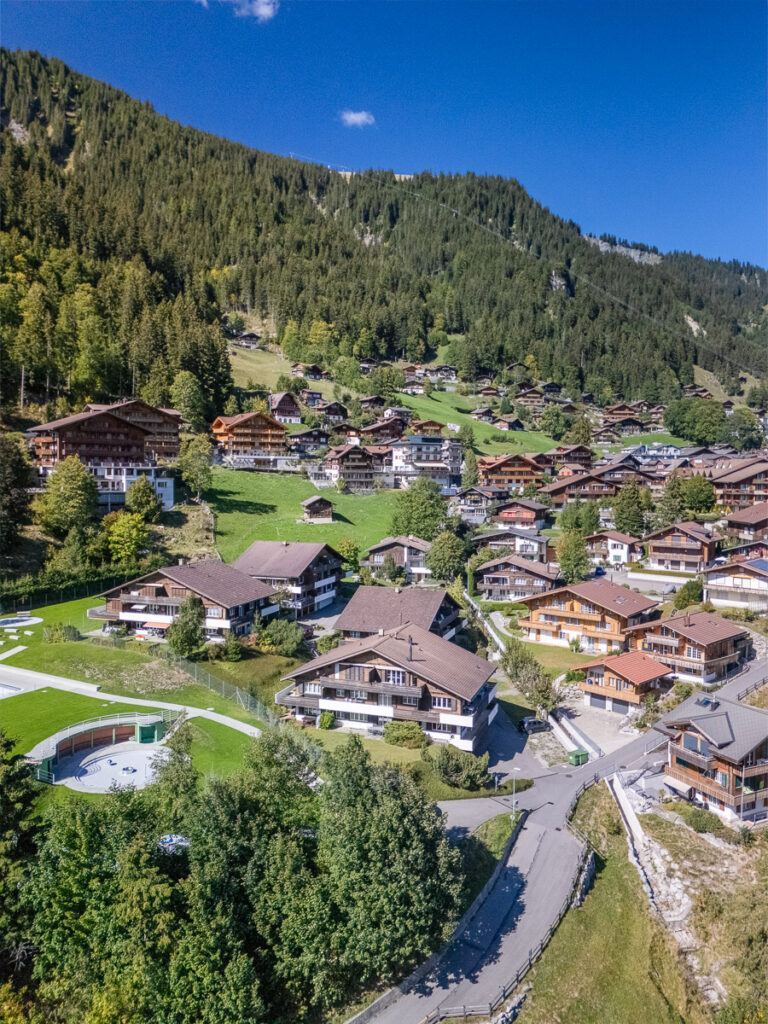 Hauswurz_web-032